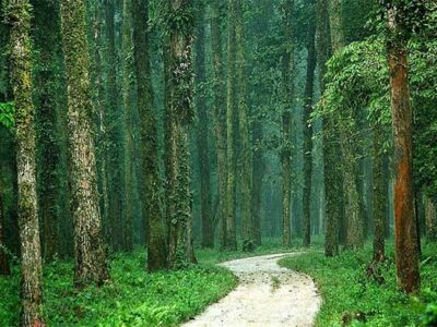 Siliguri least populated places for escaping into nature, life and experience.