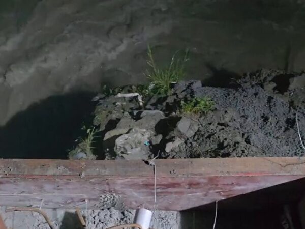 Rare White Python Spotted Near Teesta River in Likheybhir